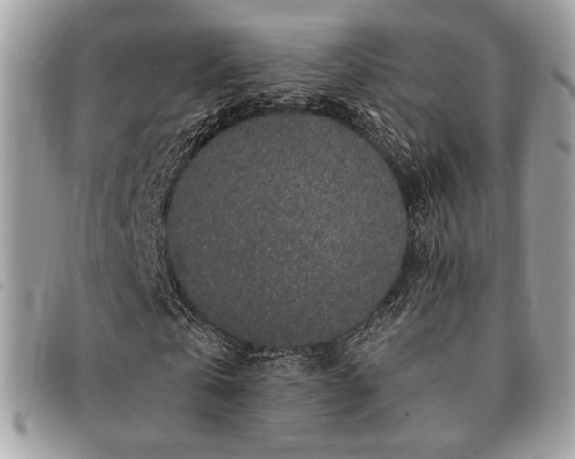 X0000091530769200708171220