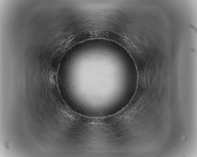 X0000091530770200708171220
