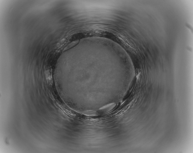 X0000091530771200708171220