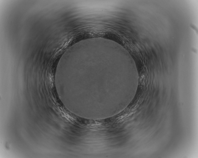 X0000091530772200708171220