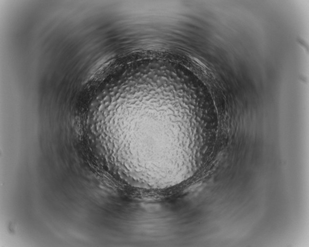 X0000091530774200708171220