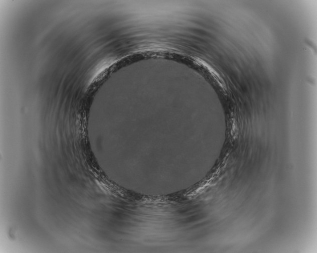 X0000091530775200708171220