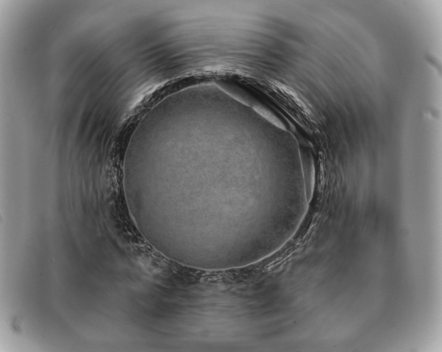 X0000091530776200708171220