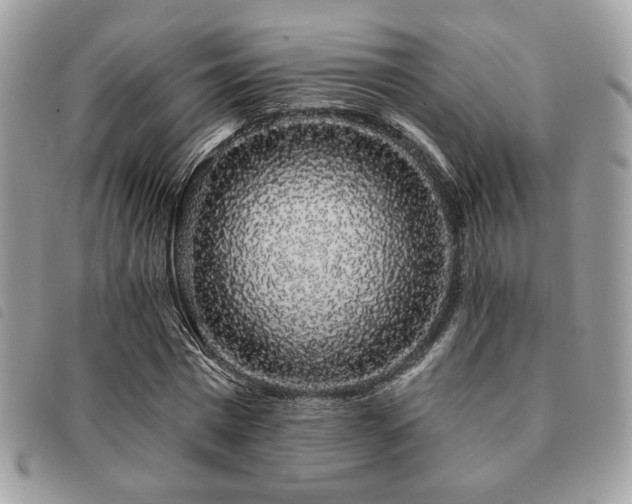 X0000091530777200708171220