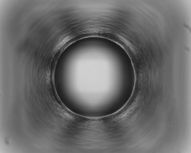 X0000091530778200708171220