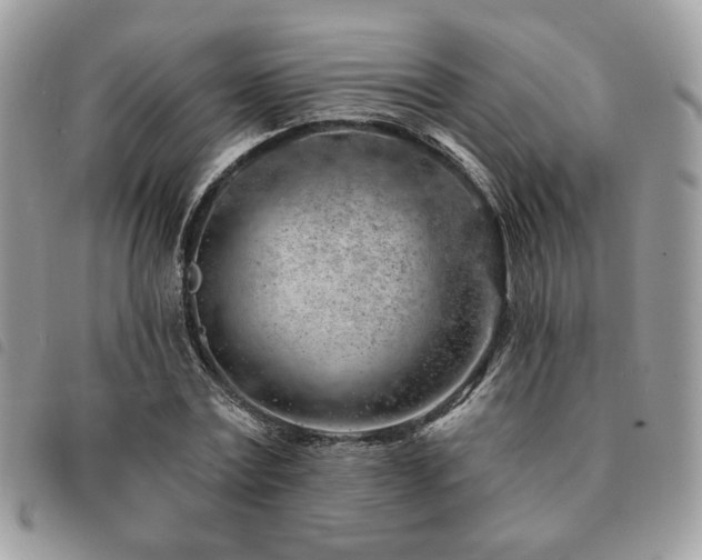 X0000091530779200708171220