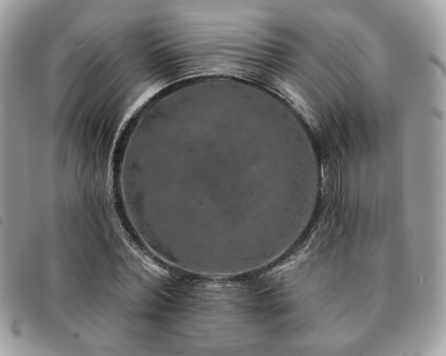 X0000091530780200708171220