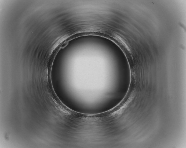 X0000091530781200708171220