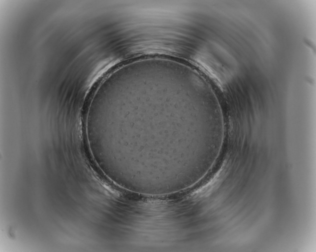X0000091530782200708171219