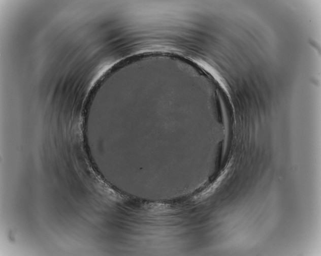 X0000091530783200708171219