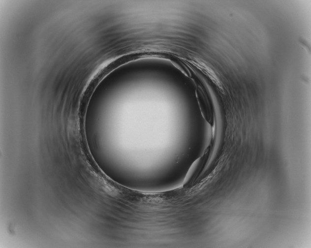 X0000091530784200708171219