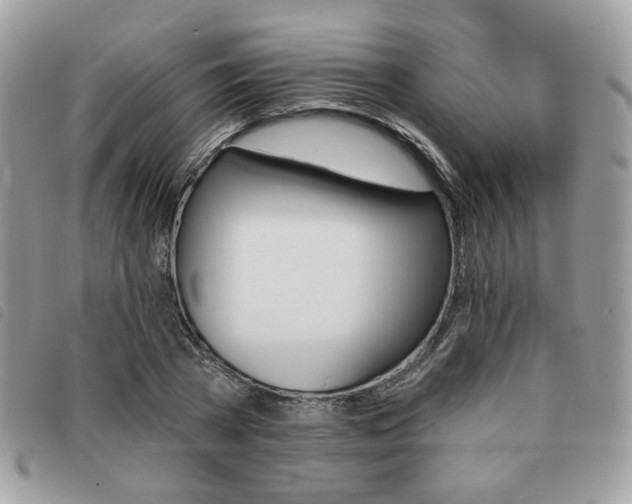 X0000091530785200708171219