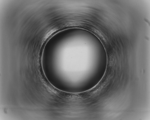 X0000091530786200708171219