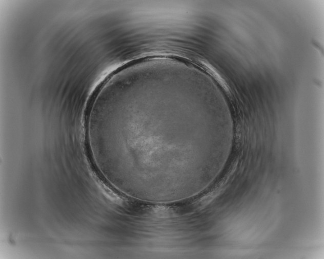 X0000091530787200708171219