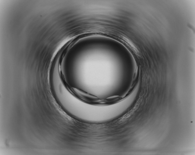 X0000091530788200708171219