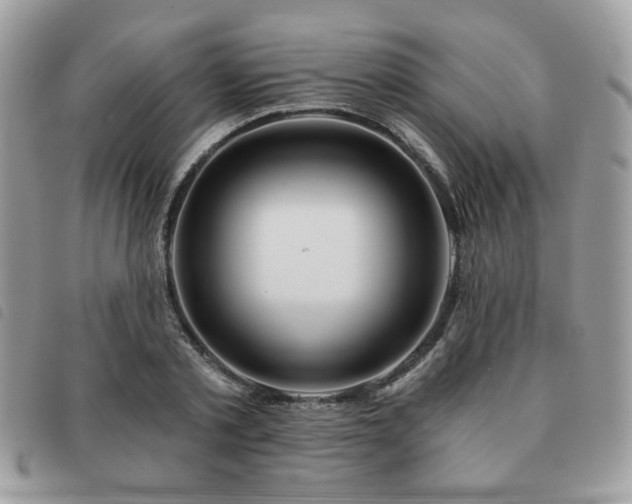 X0000091530789200708171219