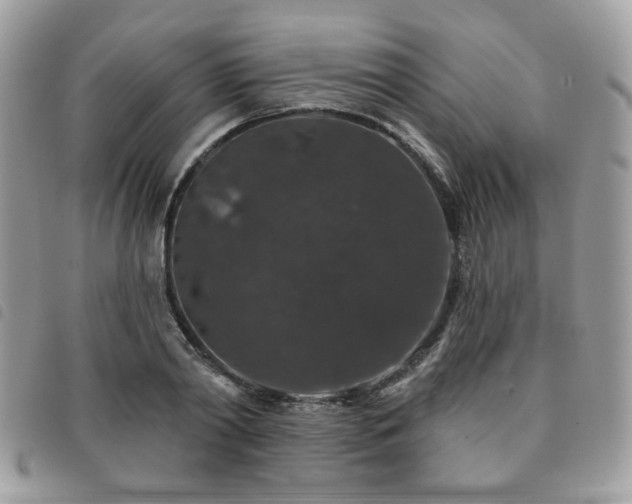 X0000091530790200708171219
