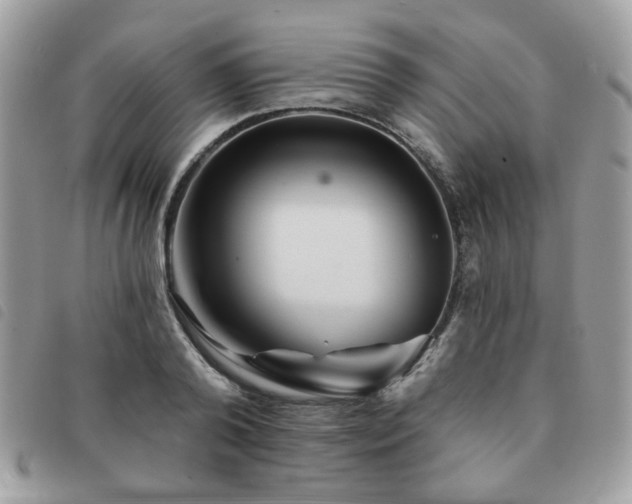X0000091530792200708171219