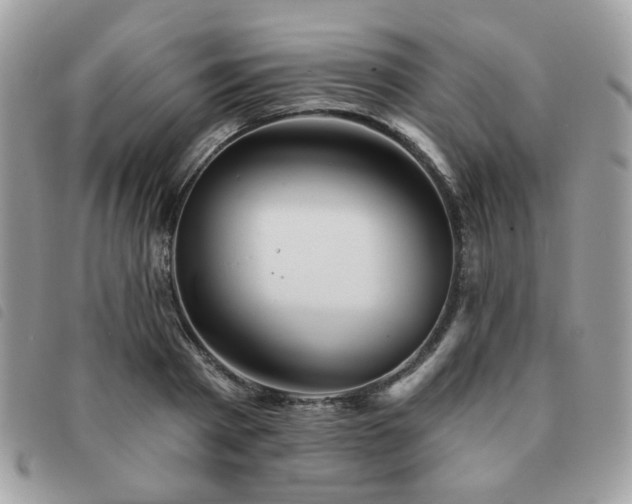 X0000091530793200708171219