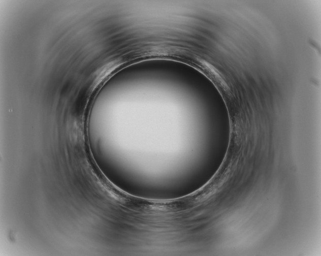 X0000091530794200708171219