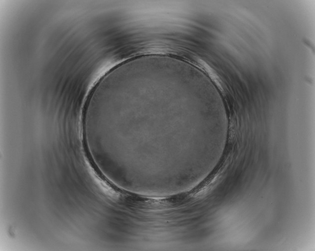 X0000091530795200708171219