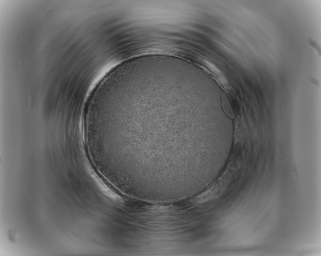X0000091530796200708171219
