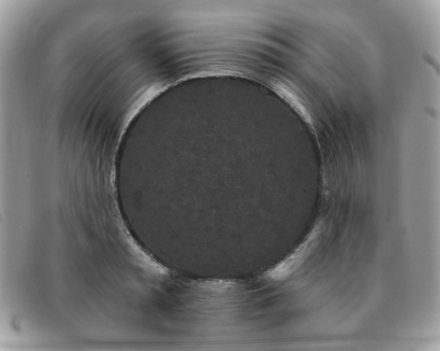 X0000091530797200708171219