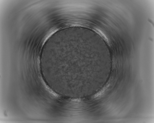 X0000091530798200708171219