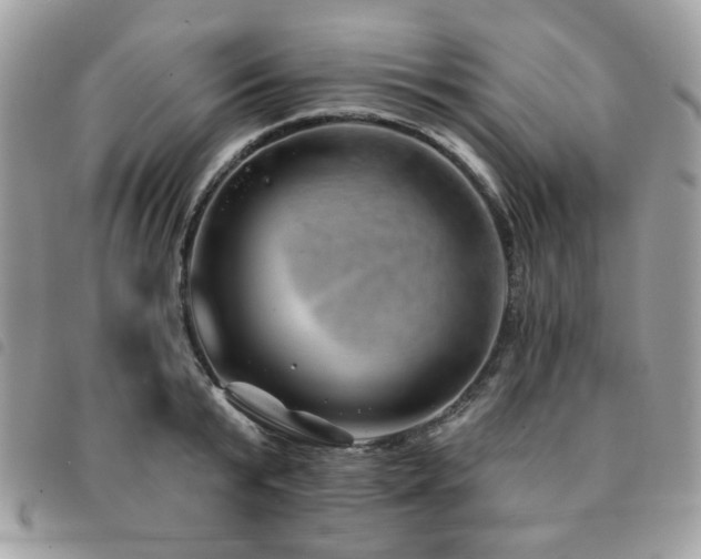 X0000091530799200708171219