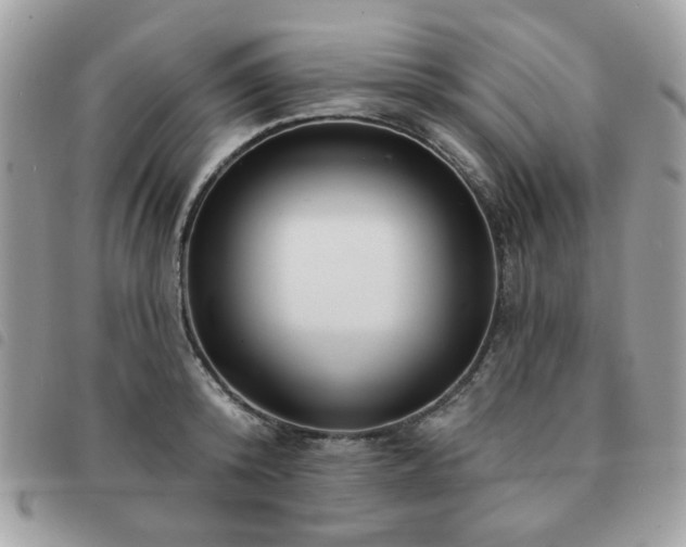 X0000091530800200708171219