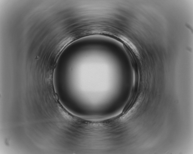 X0000091530801200708171219