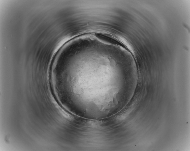 X0000091530803200708171219