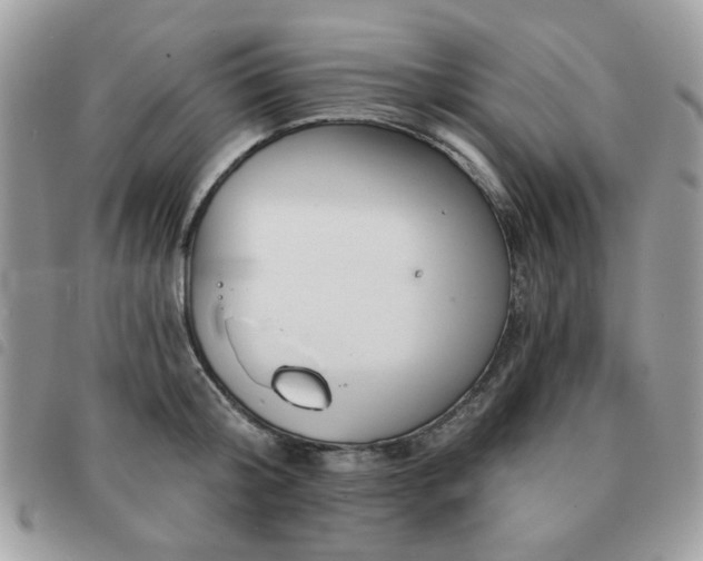 X0000091530804200708171219