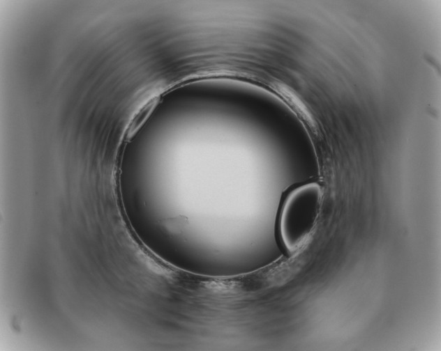 X0000091530805200708171219