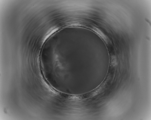 X0000091530806200708171219