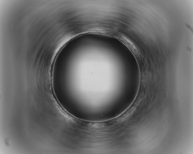 X0000091530808200708171219