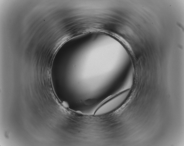 X0000091530809200708171219