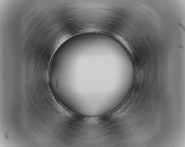 X0000091530810200708171219