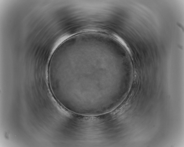 X0000091530811200708171219