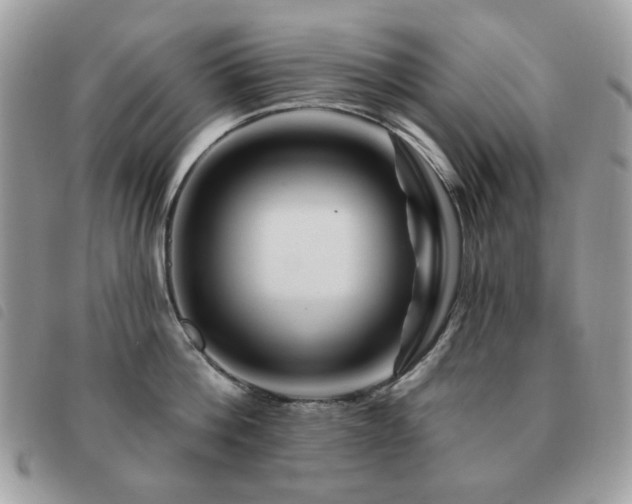 X0000091530812200708171219