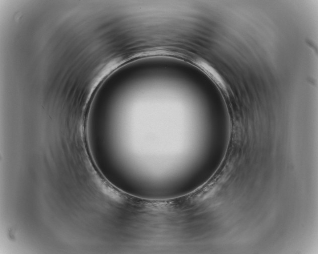 X0000091530813200708171219