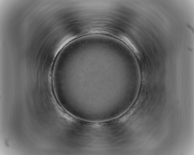 X0000091530814200708171219