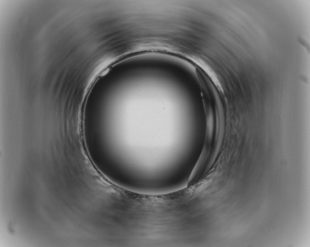 X0000091530815200708171219