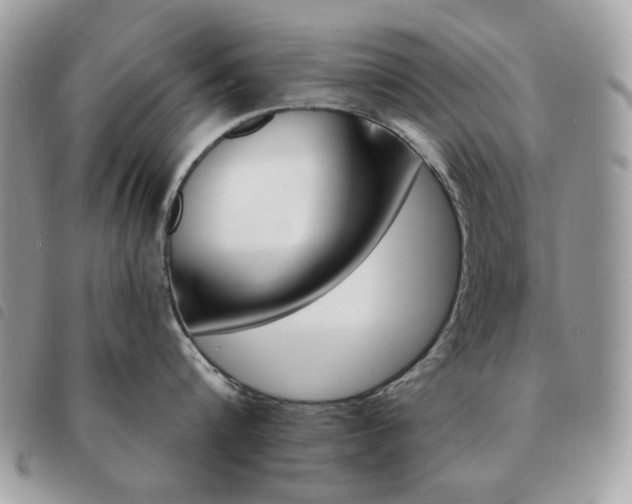 X0000091530816200708171219