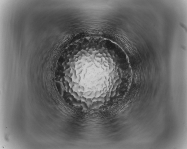 X0000091530817200708171218