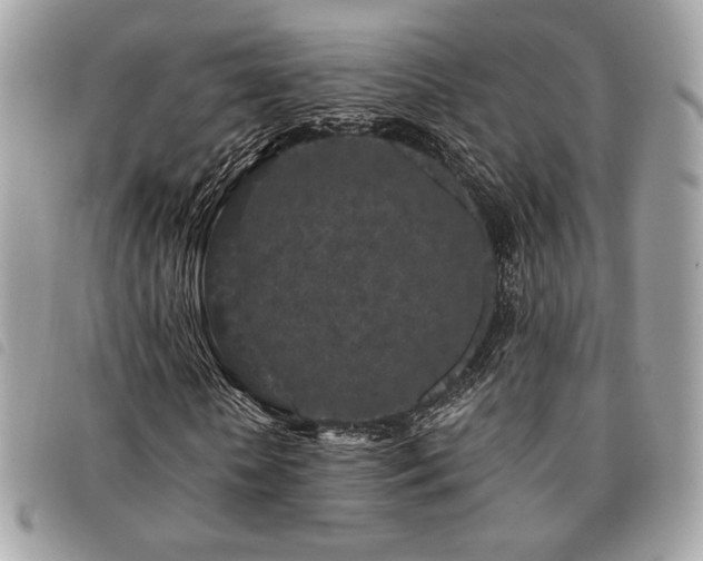 X0000091530818200708171218