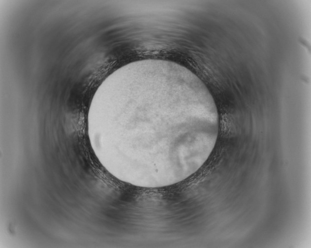 X0000091530820200708171218
