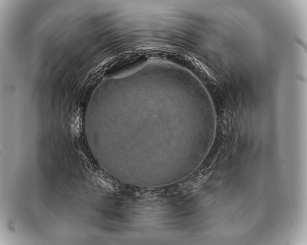 X0000091530821200708171218