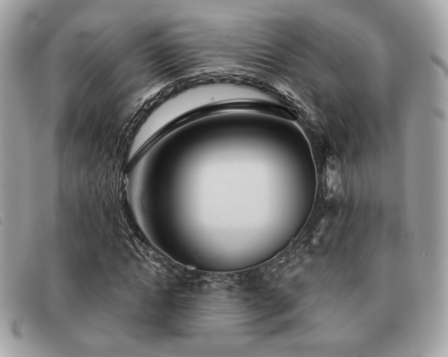 X0000091530822200708171218