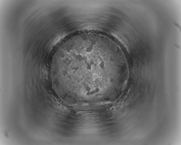 X0000091530823200708171218